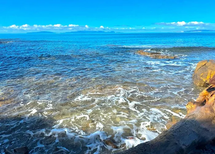 农家乐 Dei Ladri *