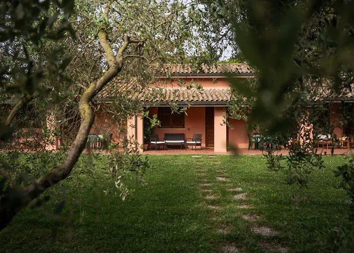 Dei Ladri * 马西利亚纳