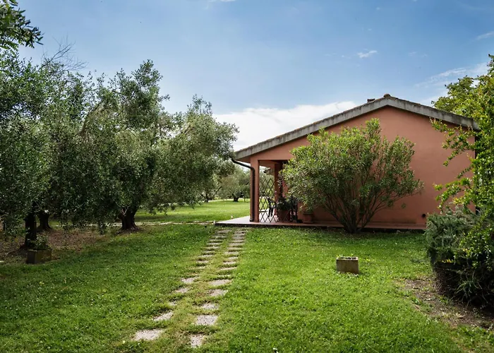 Dei Ladri * 马西利亚纳